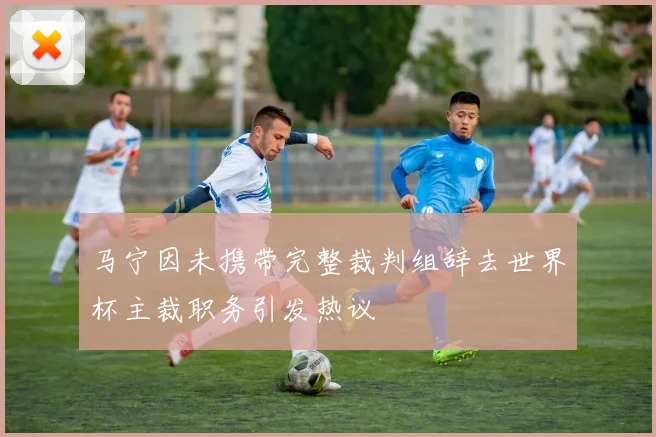马宁因未携带完整裁判组辞去世界杯主裁职务引发热议