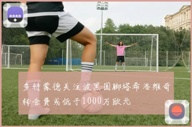 多特蒙德关注波黑国脚塔希洛维奇转会费或低于1000万欧元